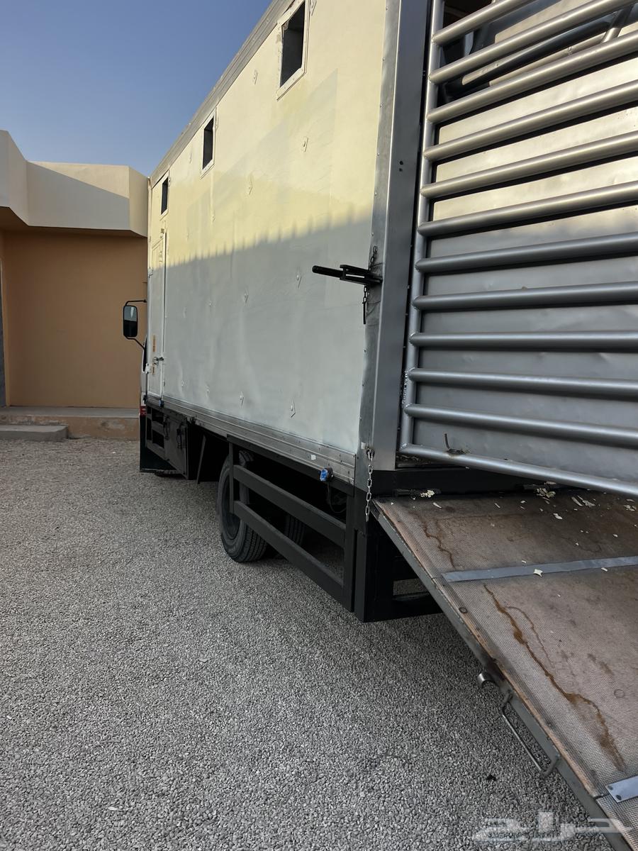 دنه خيل نقل64188123798019111