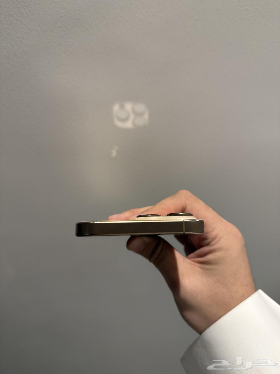 iPhone 16 Pro Max64465127866369113