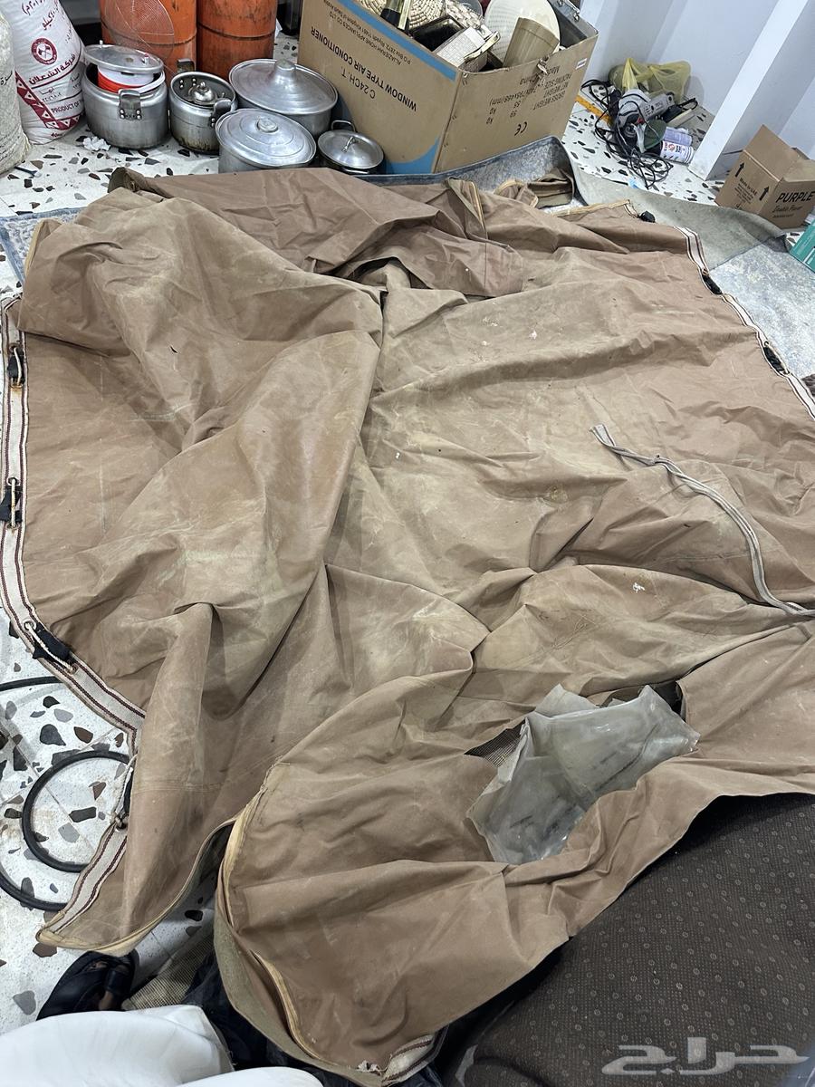 For Sale: Clean Shash Scorpion with Sail64651232070659113