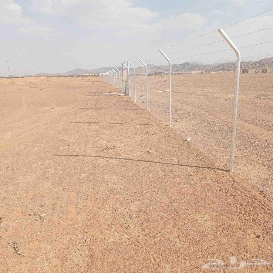 مقاول شبوك64187943163650111