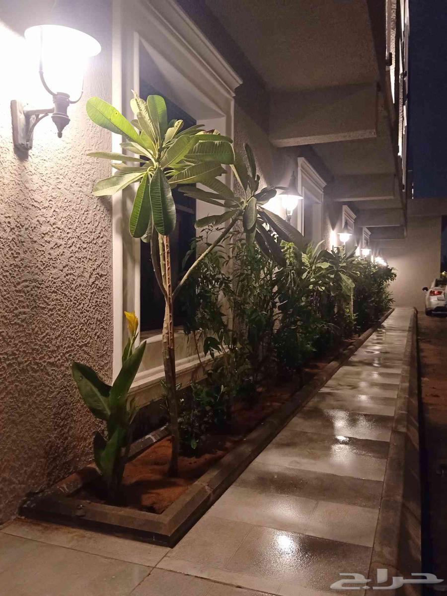 مشتل زراعي الرياض حي الملقا طريق الملك سلمان64187604560771110
