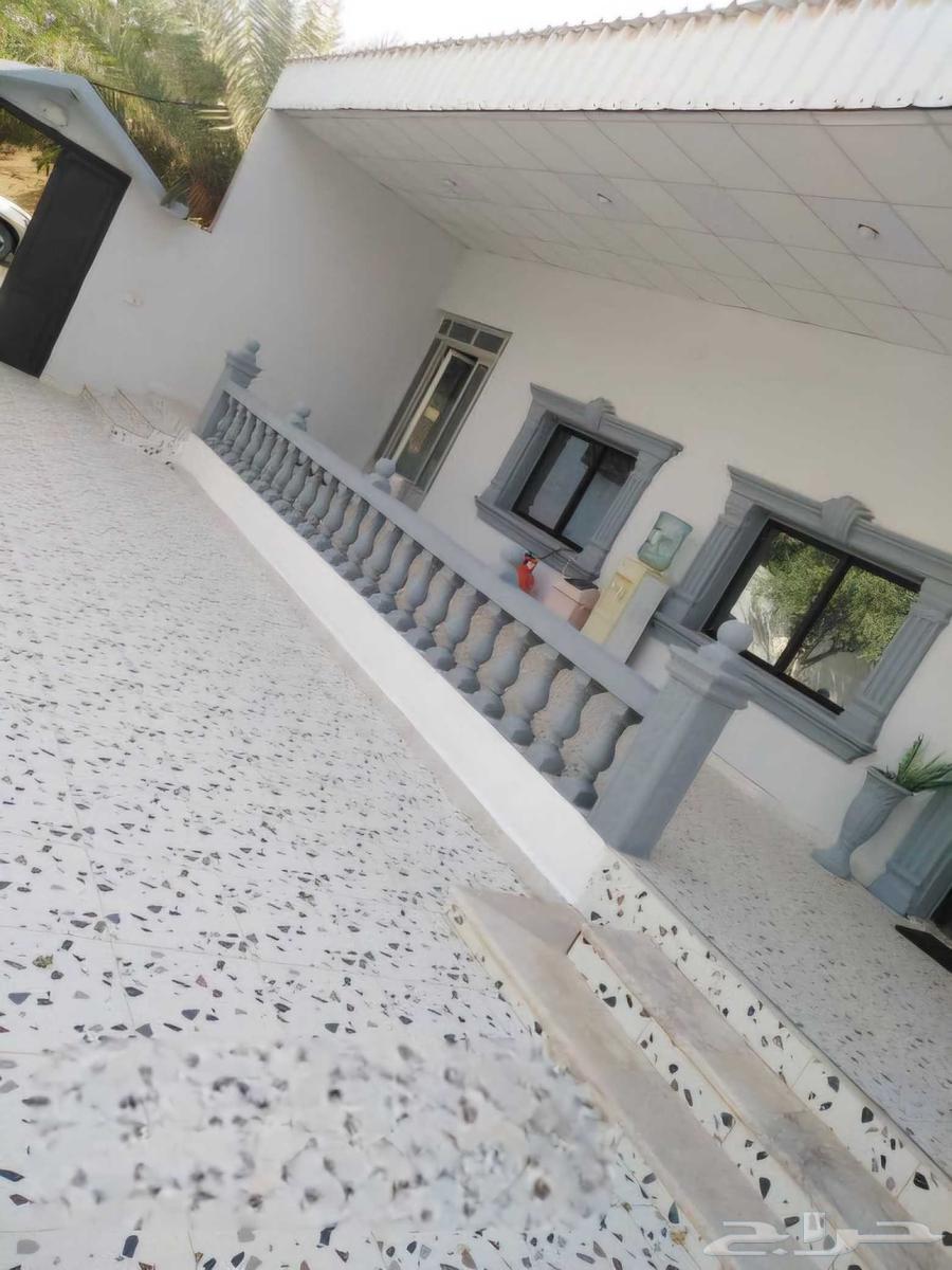 ديكورات اسمنتي جميع انواع الديكور64188124350979111