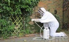 Pest Control Company for Cockroaches, Rats, Bed Bugs, and White Ants64187605847426110