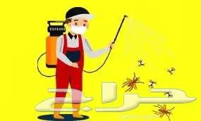 Pest Control Company for Cockroaches, Rats, Bed Bugs, and White Ants64187605847426112