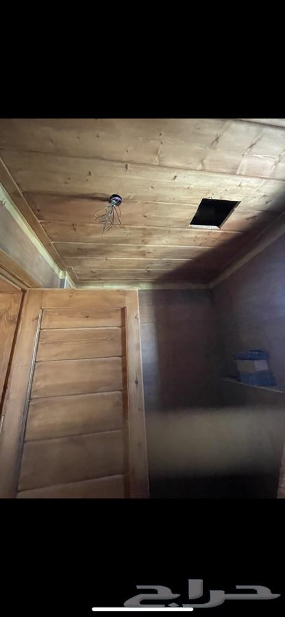 Carpenter of Cabins64189359138561114