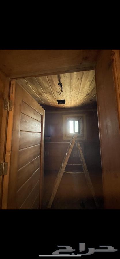 Carpenter of Cabins64189359138561113