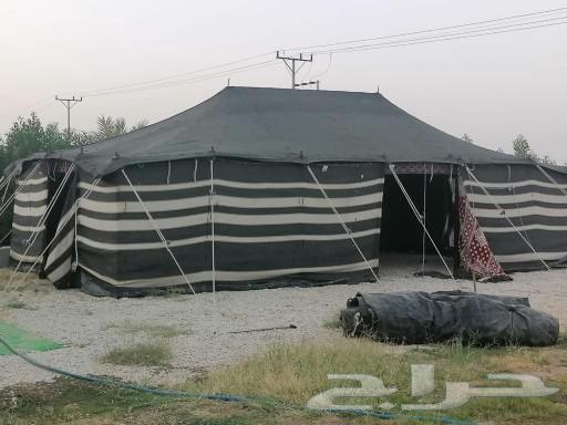 بيوت شعر وخيام64179854802305112