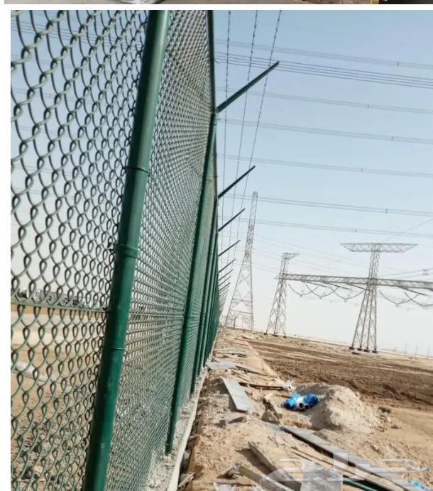 شبوك64187261949442112