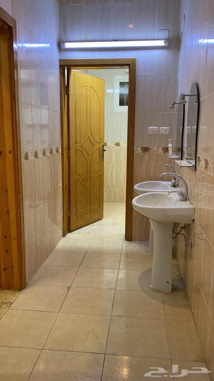 شقة للإيجار