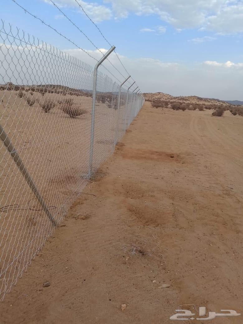 Fence Mesh Installation64189187790722113