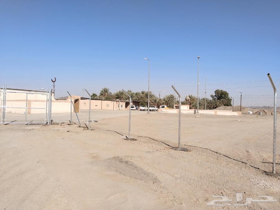 شبوك مزارع64190695648259112