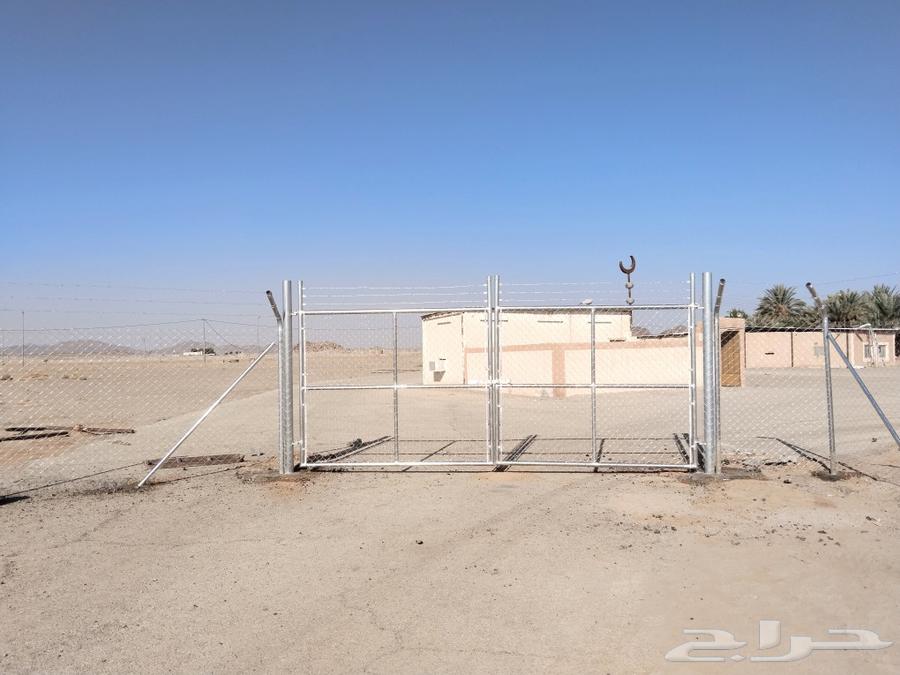 شبوك مزارع64190695648259110