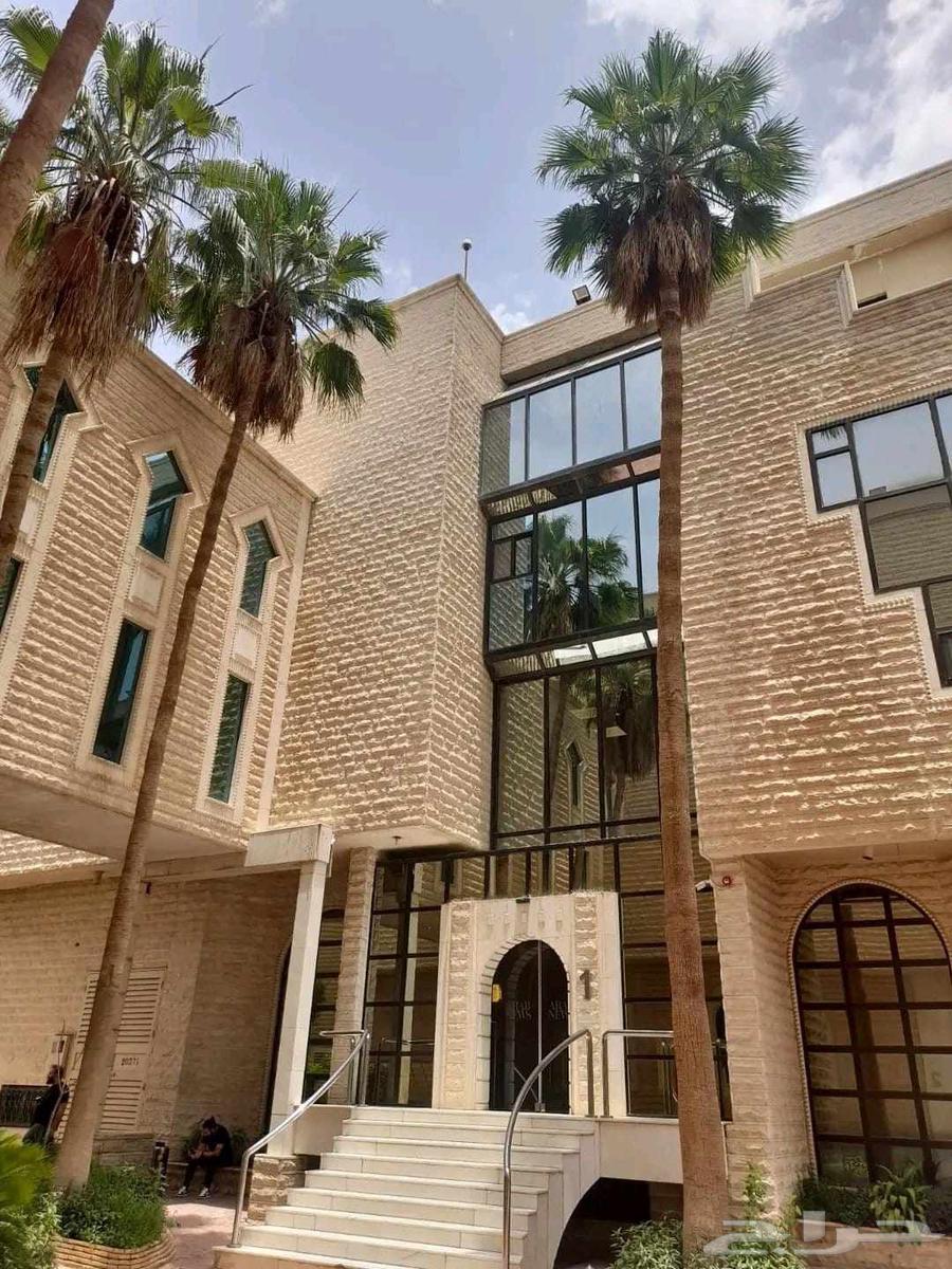 بناء حجر وزراعه نخيل64239102711169114