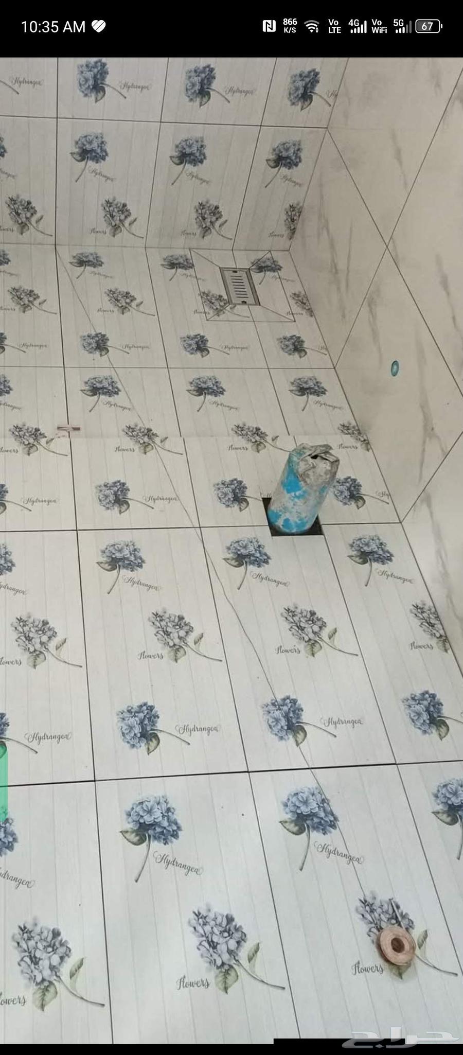 مبلط3864191294024578114