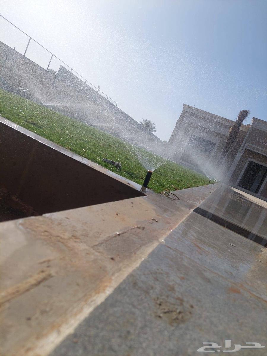 زراعه التيل الطبيعي64190071533315111