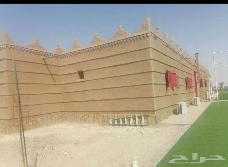 بناء حجر وزراعه نخيل64239102711169111