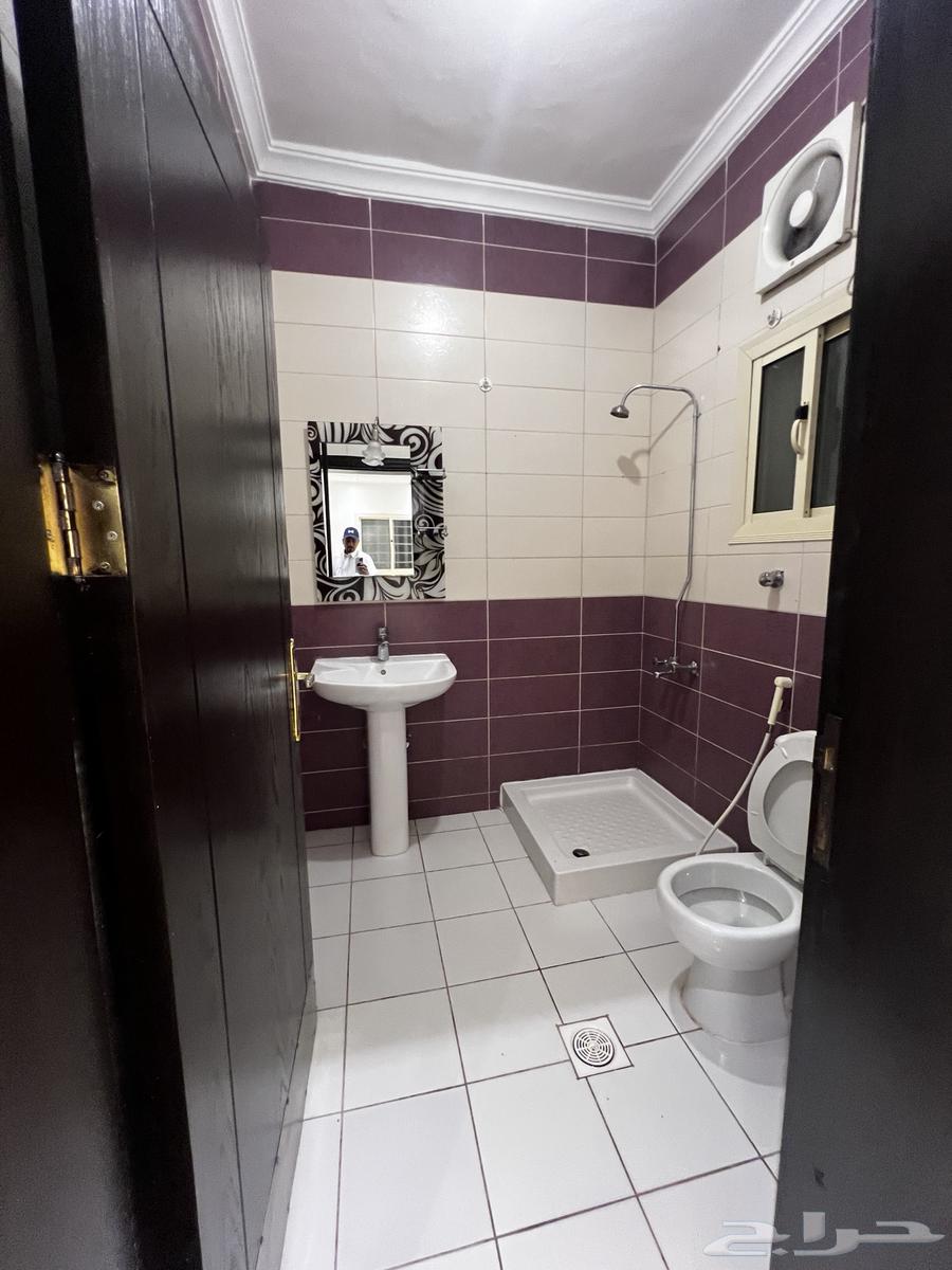 شقة للإيجار