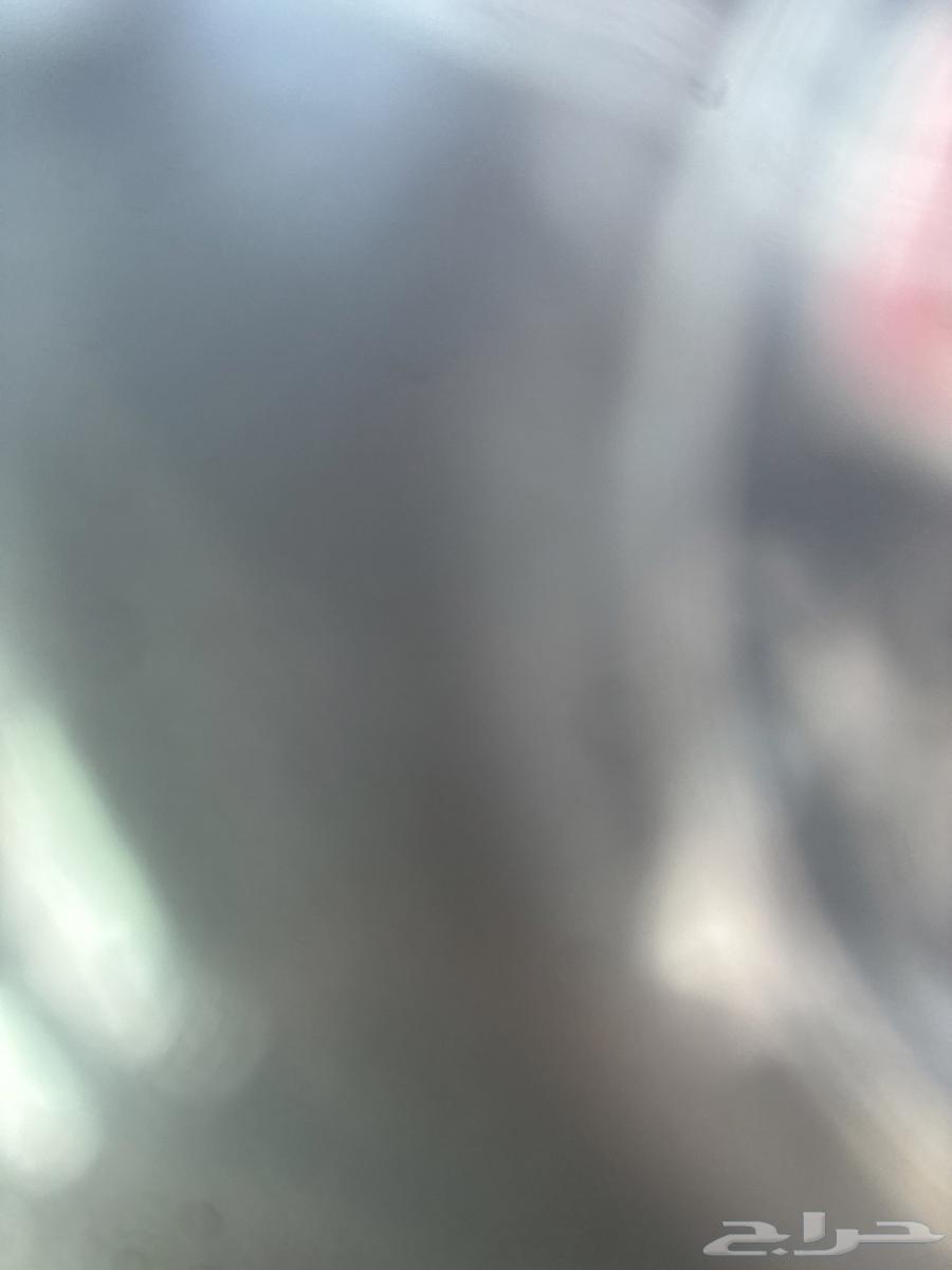 كداد ماشي الرياض الان64190276774787110