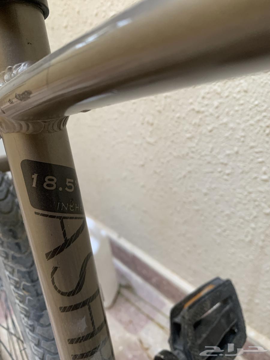 Ashbe Cycle64568252553347114