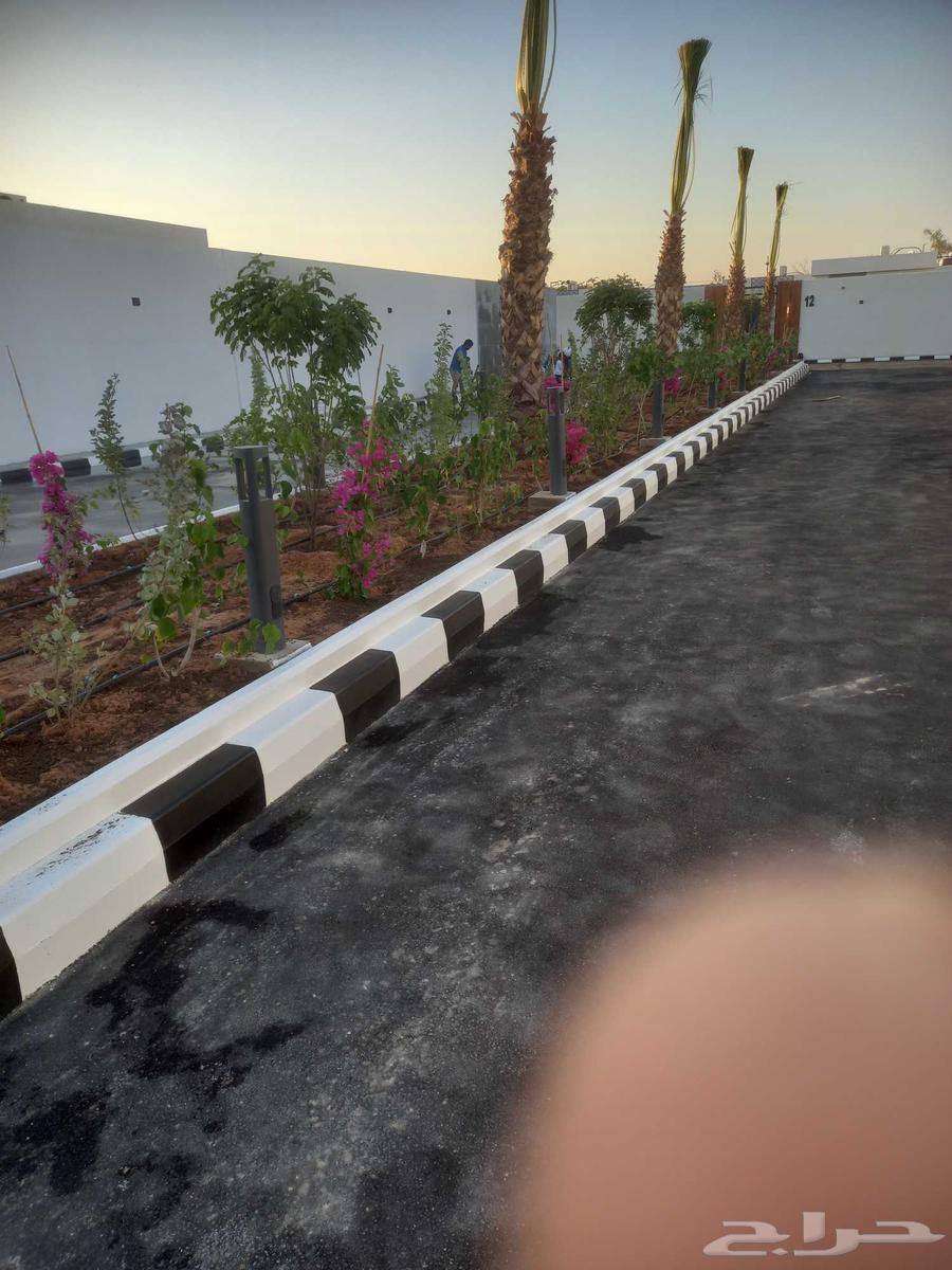 فني شبكات ري وتنسيق الحدائق64190276796291112