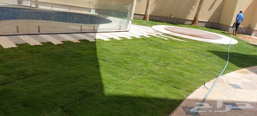 تنسيق حدائق الرياض64190888474497114