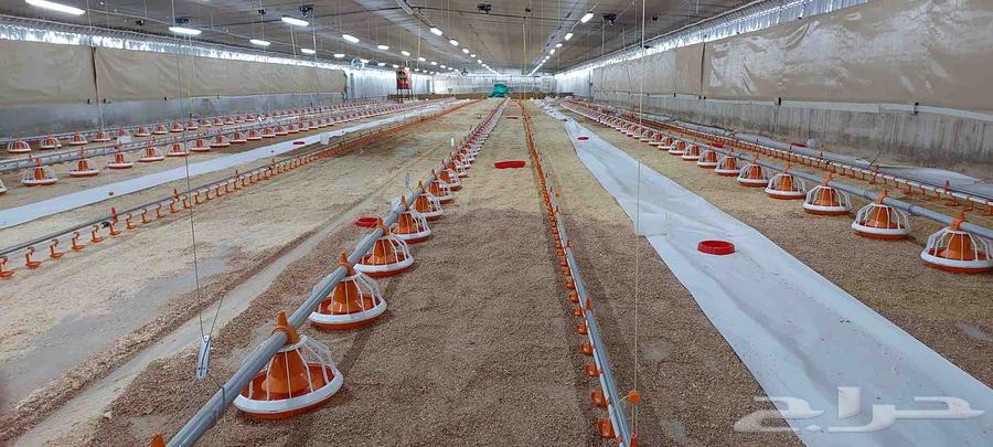 Poultry farm equipment installation contractor (broiler, breeding, layer)64189874444035111