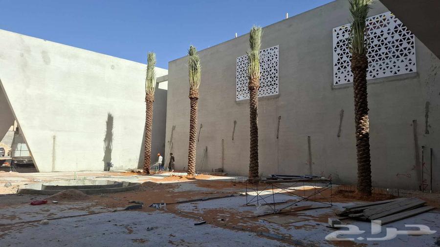 توريد وزرعه جميع انواع النخيل64190066788994113