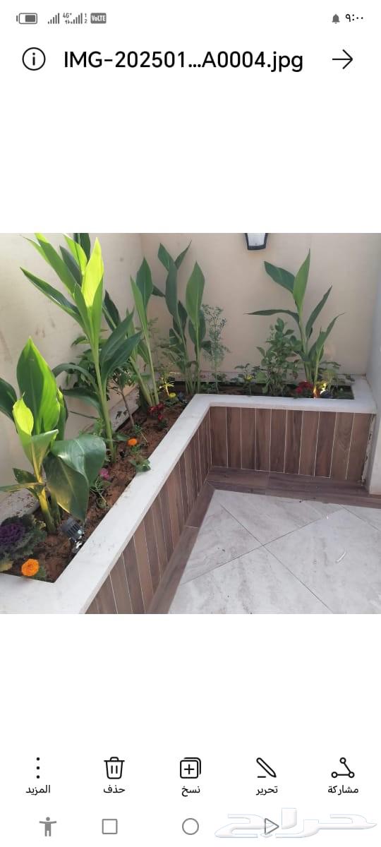 زراعه التيل الطبيعي64190071533315114