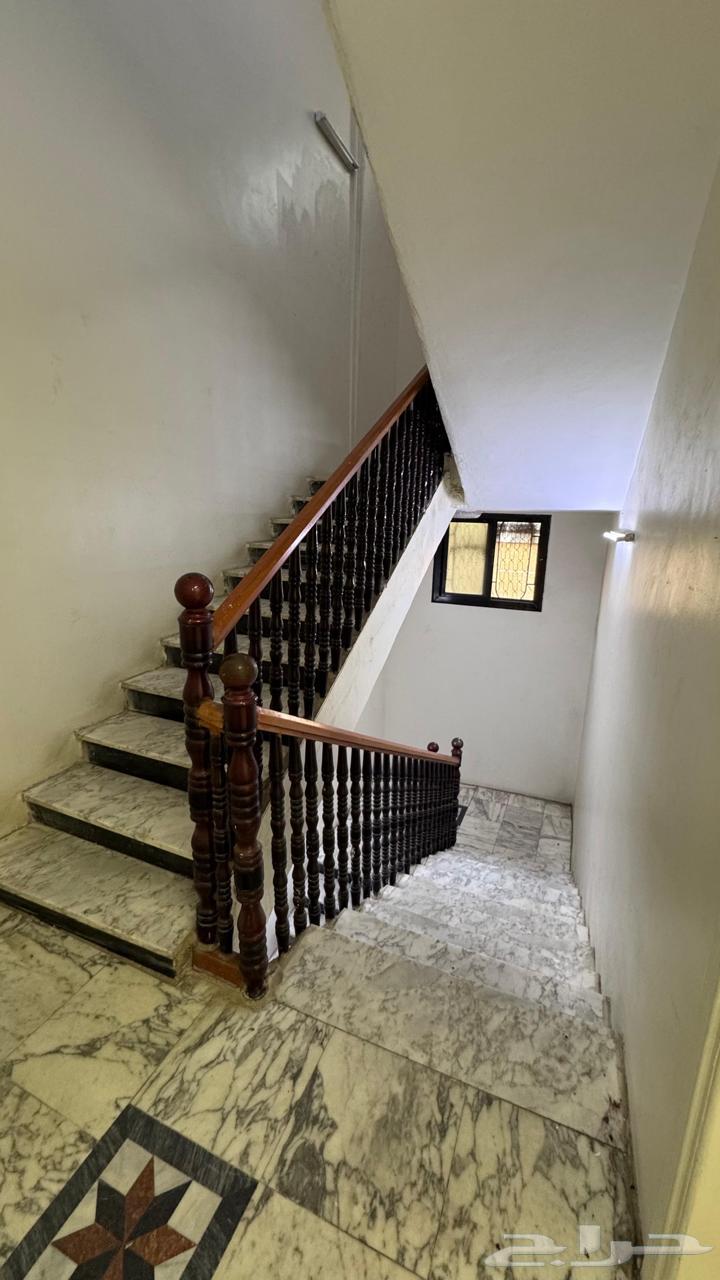 شقة للإيجار