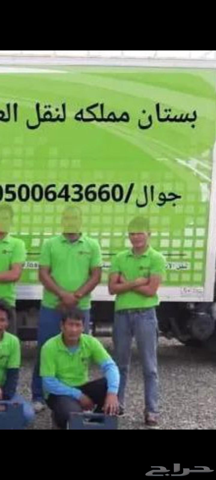 نقل عفش بالرياض العاصمة نقل اثاث64190480765313110