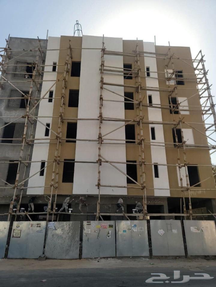 Grafito Profile64190279438850110