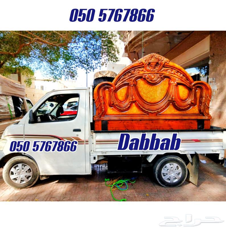 Dabbab available Jeddah riyadh dammam yanbu khobar64190278025218110