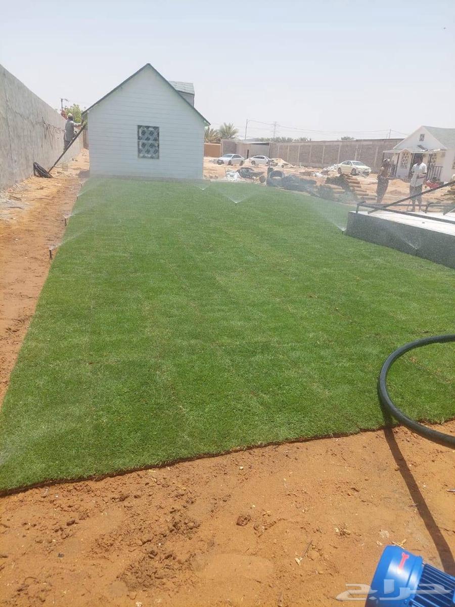 زراعه التيل الطبيعي64190071533315110