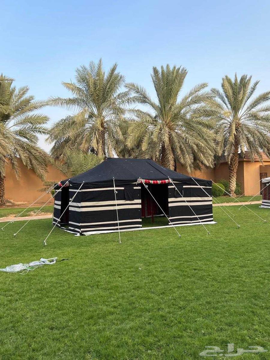 بيوت شعر و خيام ملكية ومستلزماتها64190887777026113