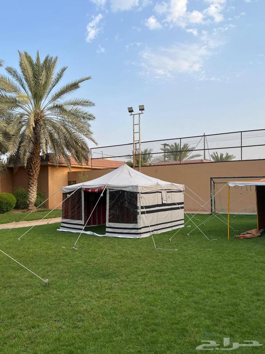 بيوت شعر و خيام ملكية ومستلزماتها64190887777026112