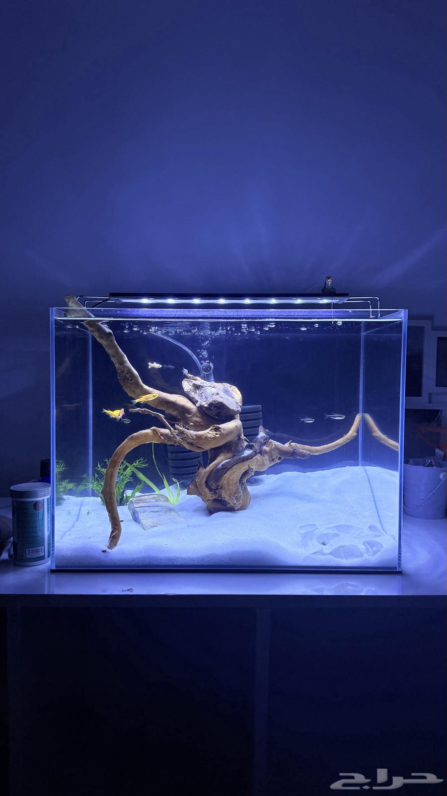 حوض للبيع64836586013315112