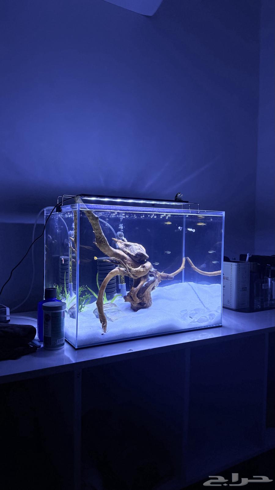 حوض للبيع64836586013315114