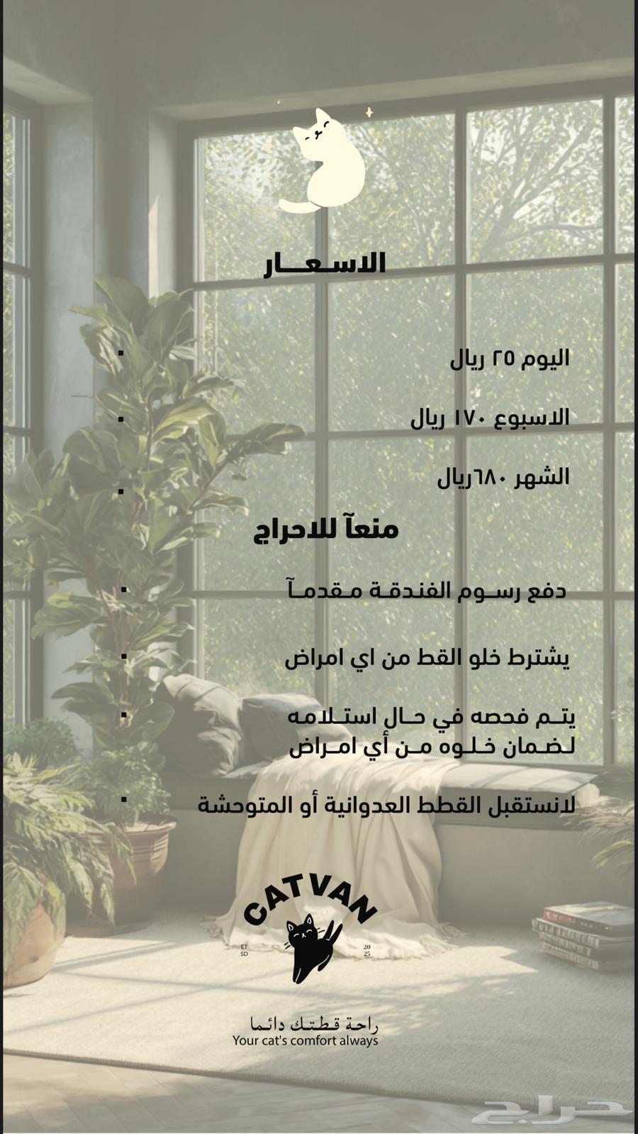 فندقه قطط64207262180226112