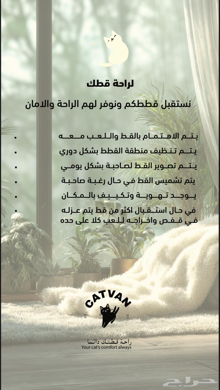 فندقه قطط64207262180226110