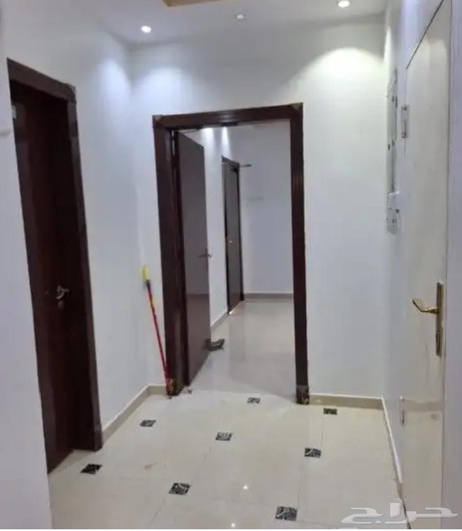 معلم دهان الرياض64192623461378111