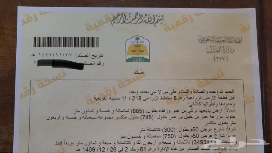 ارض مساحه 2000 عليها صك زراعي شامل في الجله البيع 46 الف64191699476737110