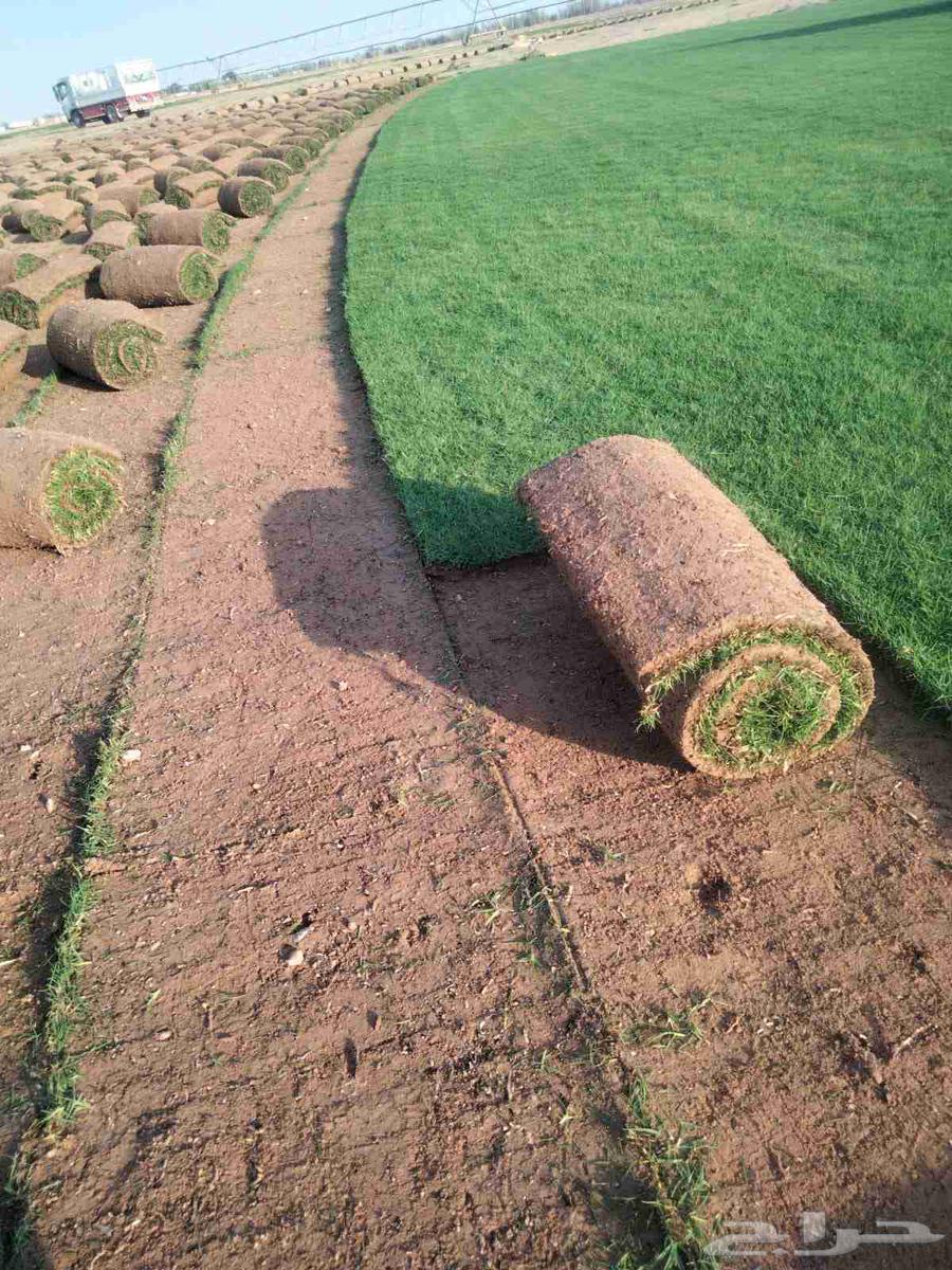 تيل طبيعي64192127258498112