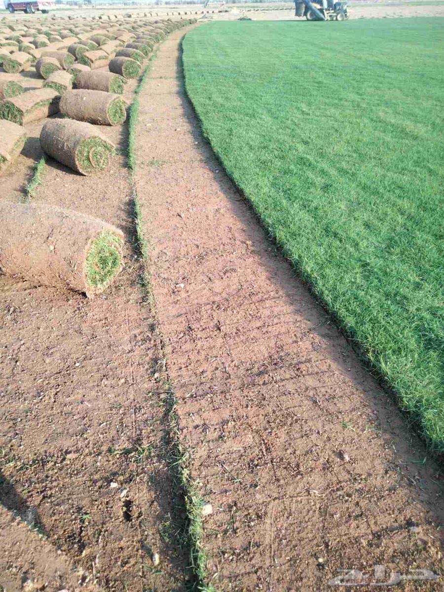 تيل طبيعي64192127258498110