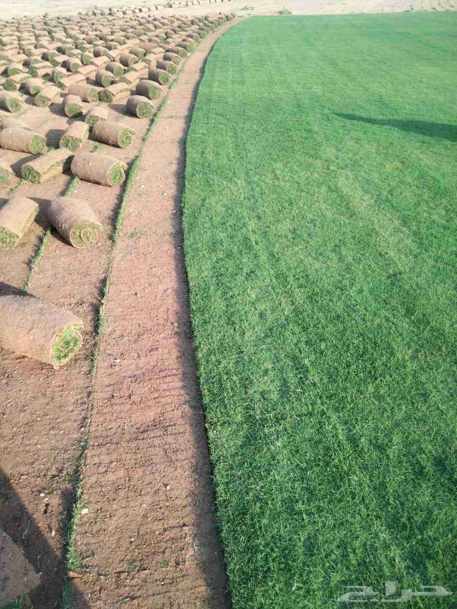 تيل طبيعي64192127258498111