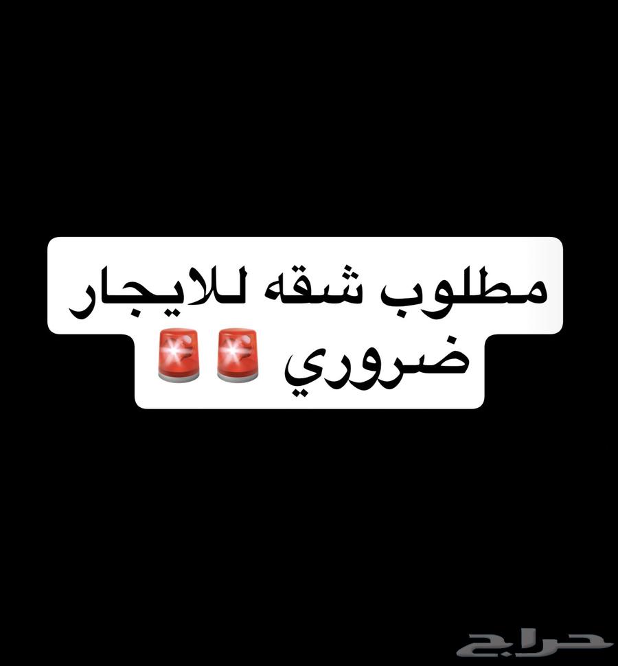 مطلوووب شقه 4 غرف نظيفه   سراميك  و قريبه من وسط الطايف64157089554818110