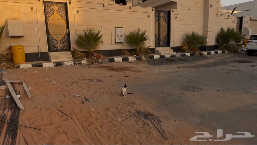 عمارة للبيع