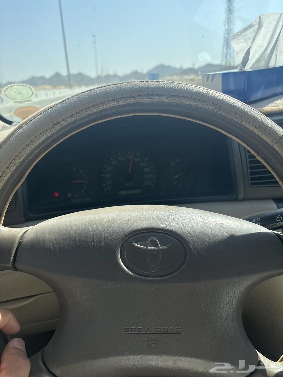 مشوار مكه جده الان64177997836546110