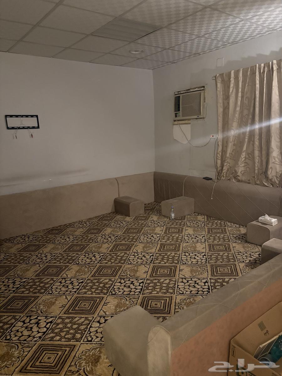 Living Room with Carpet, Curtains, and Felt64836833006211111