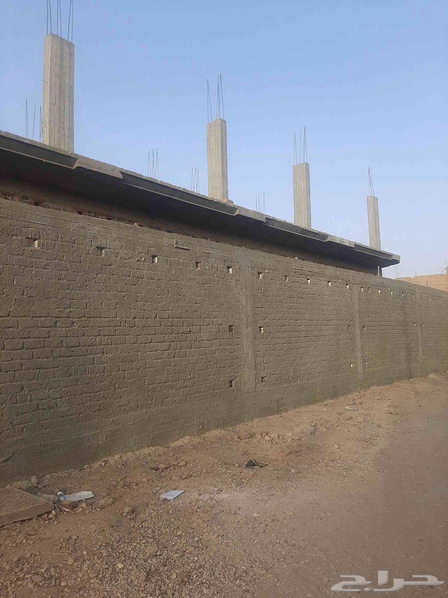 مقاول تليس64192371738754110