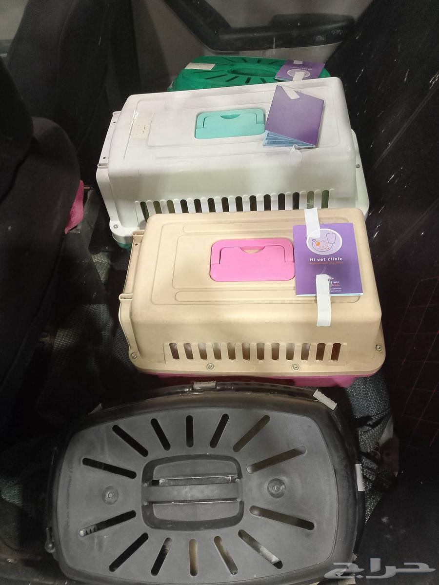 موصل طيور حيوانات اليفه أمانات64835485192195111